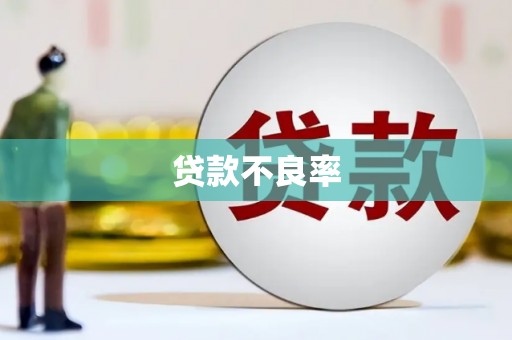 呼伦贝尔贷款不良率