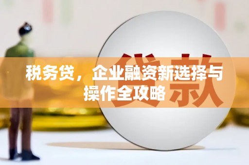 呼伦贝尔税务贷，企业融资新选择与操作全攻略