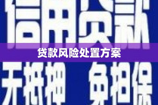 呼伦贝尔贷款风险处置方案
