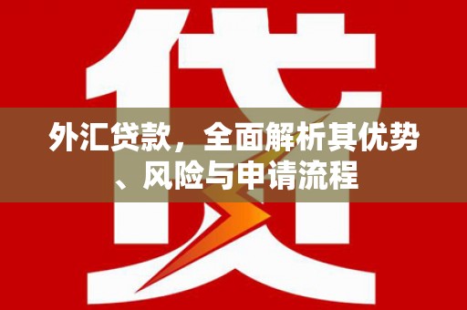 呼伦贝尔外汇贷款，全面解析其优势、风险与申请流程
