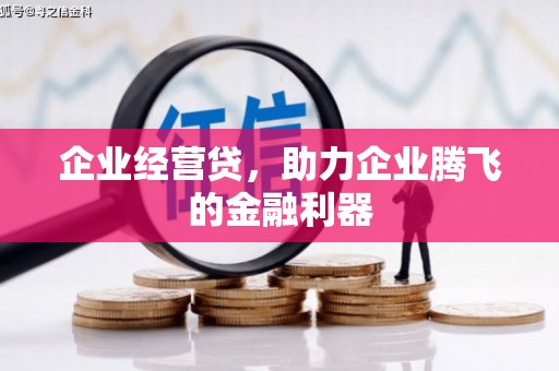 呼伦贝尔企业经营贷，助力企业腾飞的金融利器