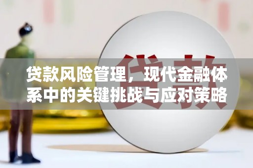 呼伦贝尔贷款风险管理，现代金融体系中的关键挑战与应对策略