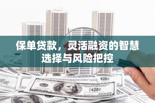 呼伦贝尔保单贷款，灵活融资的智慧选择与风险把控