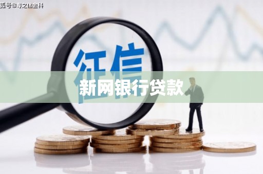 呼伦贝尔新网银行贷款
