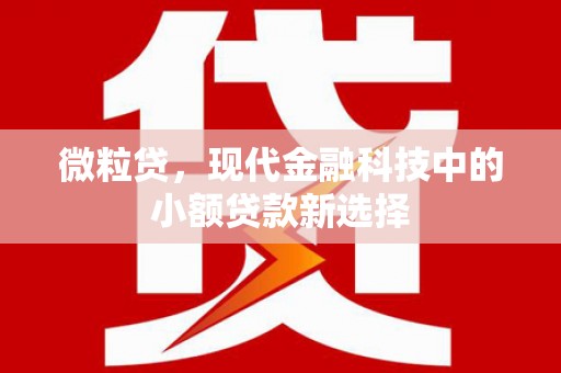 呼伦贝尔微粒贷，现代金融科技中的小额贷款新选择