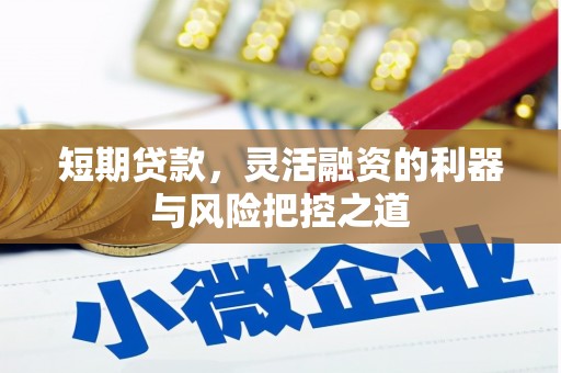 呼伦贝尔短期贷款，灵活融资的利器与风险把控之道