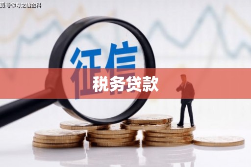 呼伦贝尔税务贷款