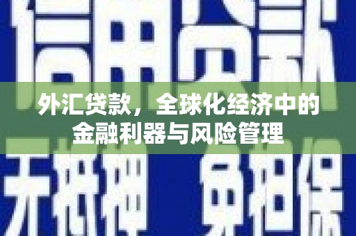 呼伦贝尔外汇贷款，全球化经济中的金融利器与风险管理