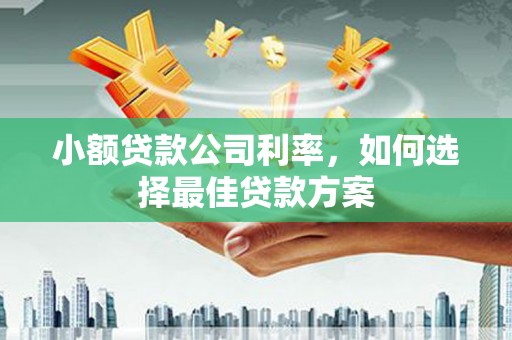 呼伦贝尔小额贷款公司利率，如何选择最佳贷款方案