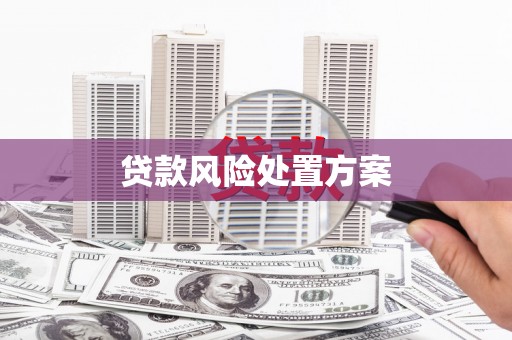 呼伦贝尔贷款风险处置方案