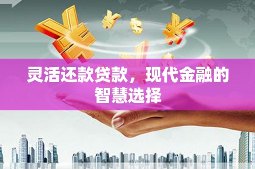 呼伦贝尔灵活还款贷款，现代金融的智慧选择