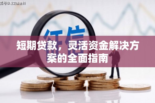呼伦贝尔短期贷款，灵活资金解决方案的全面指南