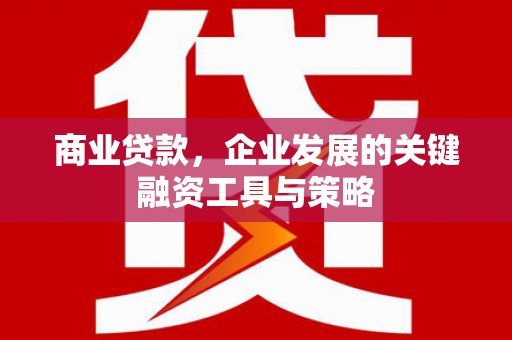 呼伦贝尔商业贷款，企业发展的关键融资工具与策略