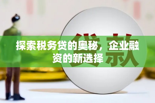 呼伦贝尔探索税务贷的奥秘，企业融资的新选择