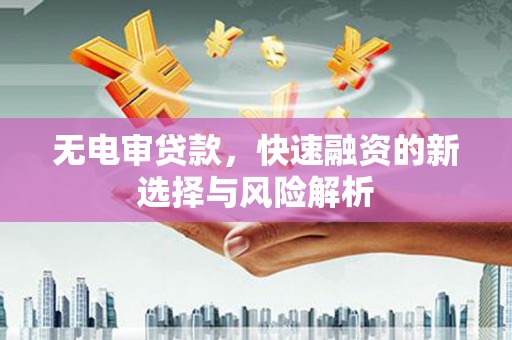 呼伦贝尔无电审贷款，快速融资的新选择与风险解析