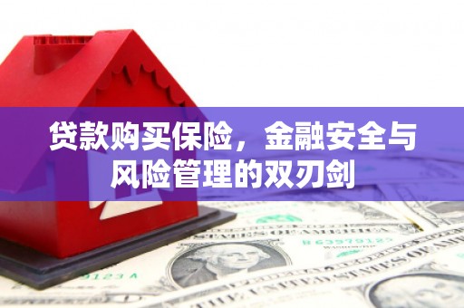 呼伦贝尔贷款购买保险，金融安全与风险管理的双刃剑