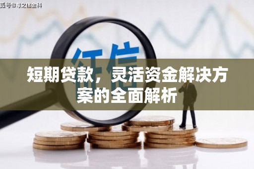 呼伦贝尔短期贷款，灵活资金解决方案的全面解析