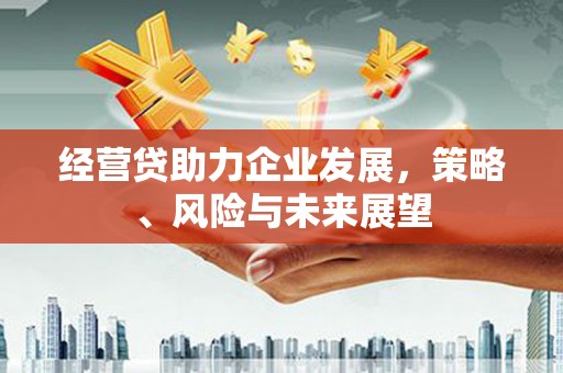 呼伦贝尔经营贷助力企业发展，策略、风险与未来展望