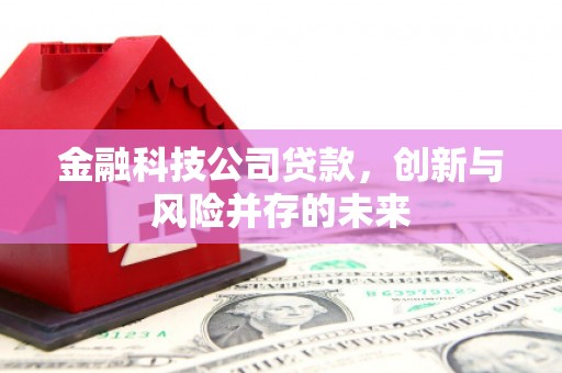 呼伦贝尔金融科技公司贷款，创新与风险并存的未来