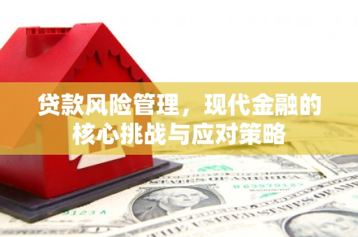 呼伦贝尔贷款风险管理，现代金融的核心挑战与应对策略