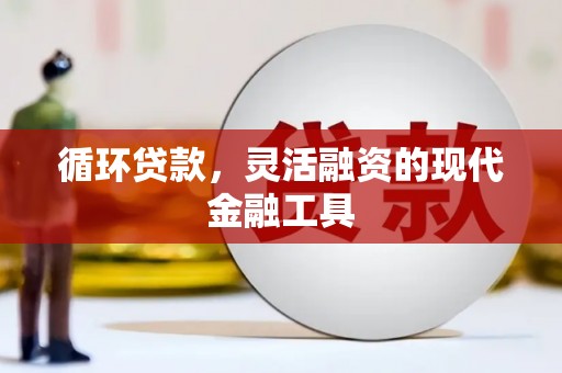 呼伦贝尔循环贷款，灵活融资的现代金融工具