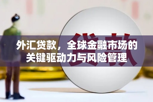 呼伦贝尔外汇贷款，全球金融市场的关键驱动力与风险管理