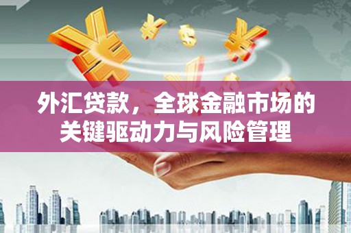 呼伦贝尔外汇贷款，全球金融市场的关键驱动力与风险管理