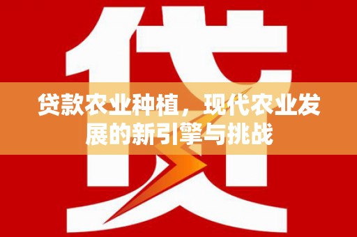 呼伦贝尔贷款农业种植，现代农业发展的新引擎与挑战