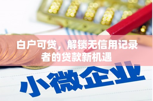 呼伦贝尔白户可贷，解锁无信用记录者的贷款新机遇