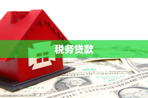 呼伦贝尔税务贷款