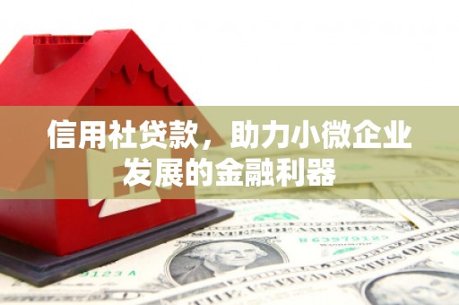 呼伦贝尔信用社贷款，助力小微企业发展的金融利器