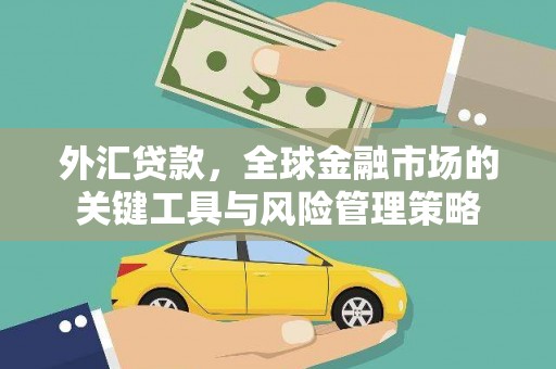 呼伦贝尔外汇贷款，全球金融市场的关键工具与风险管理策略
