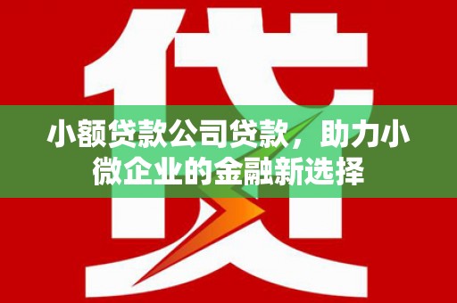呼伦贝尔小额贷款公司贷款，助力小微企业的金融新选择