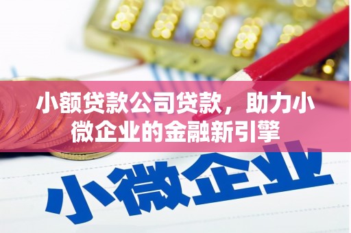 呼伦贝尔小额贷款公司贷款，助力小微企业的金融新引擎