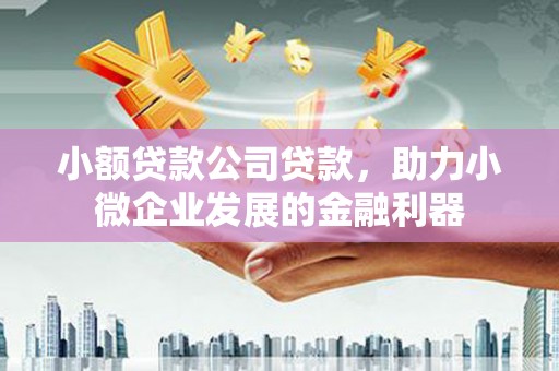 呼伦贝尔小额贷款公司贷款，助力小微企业发展的金融利器