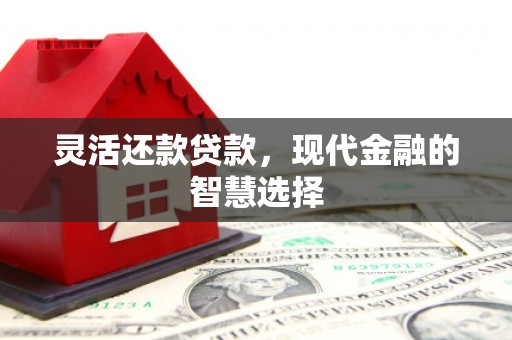 呼伦贝尔灵活还款贷款，现代金融的智慧选择
