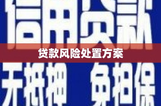 呼伦贝尔贷款风险处置方案