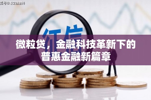 呼伦贝尔微粒贷，金融科技革新下的普惠金融新篇章
