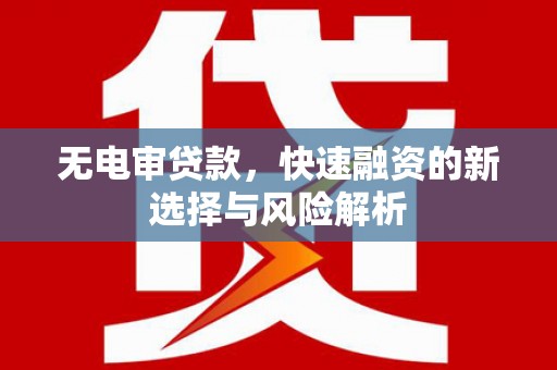 呼伦贝尔无电审贷款，快速融资的新选择与风险解析