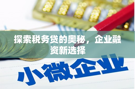 呼伦贝尔探索税务贷的奥秘，企业融资新选择