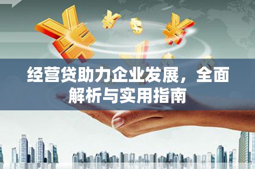 呼伦贝尔经营贷助力企业发展，全面解析与实用指南