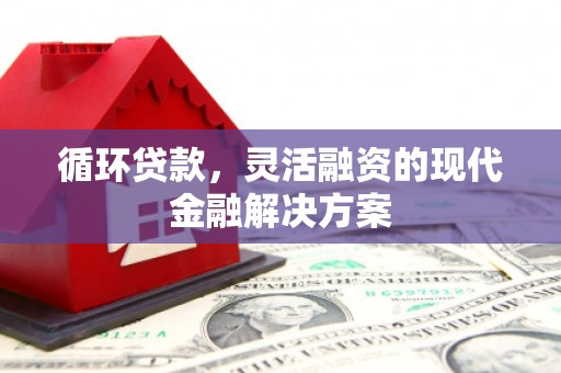 呼伦贝尔循环贷款，灵活融资的现代金融解决方案