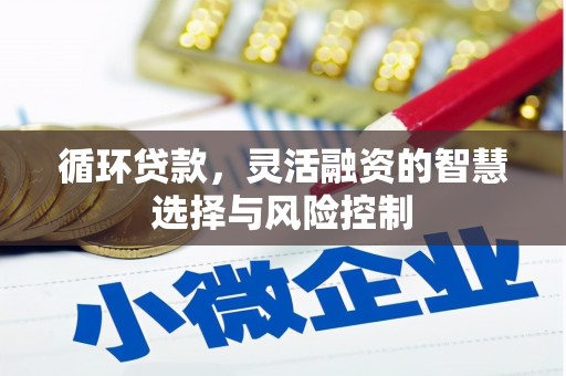 呼伦贝尔循环贷款，灵活融资的智慧选择与风险控制