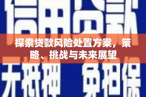 呼伦贝尔探索贷款风险处置方案，策略、挑战与未来展望