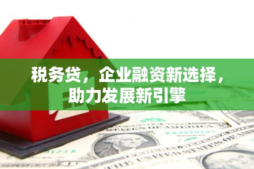 呼伦贝尔税务贷，企业融资新选择，助力发展新引擎