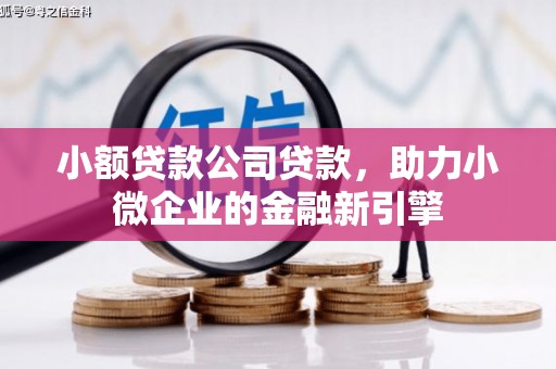 呼伦贝尔小额贷款公司贷款，助力小微企业的金融新引擎
