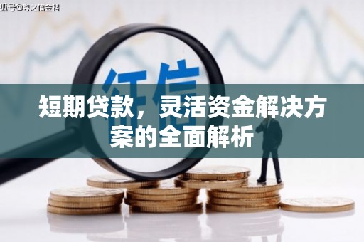 呼伦贝尔短期贷款，灵活资金解决方案的全面解析