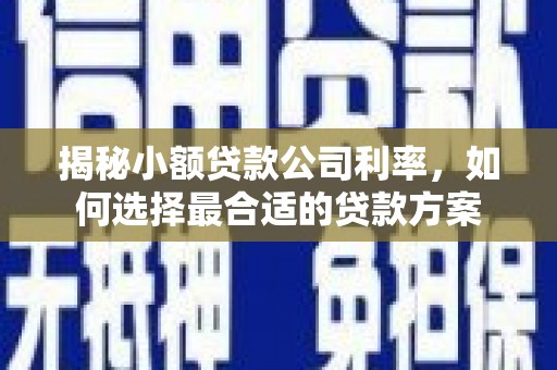 呼伦贝尔揭秘小额贷款公司利率，如何选择最合适的贷款方案