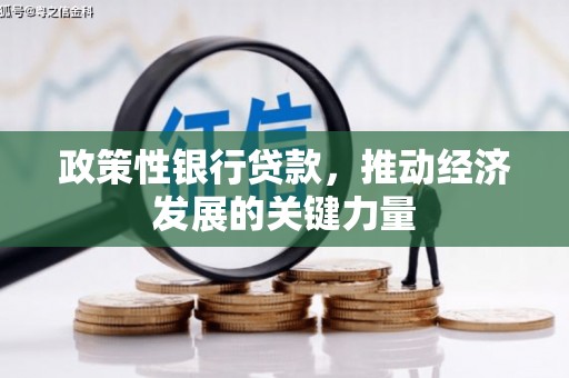 呼伦贝尔政策性银行贷款，推动经济发展的关键力量