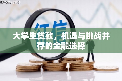 呼伦贝尔大学生贷款，机遇与挑战并存的金融选择